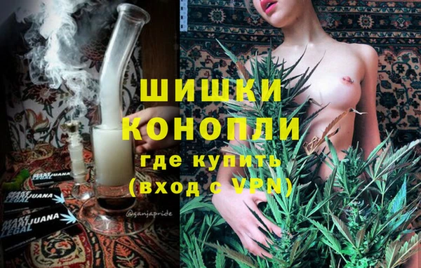 шишки Алексеевка