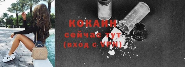 ГАЛЛЮЦИНОГЕННЫЕ ГРИБЫ Абаза