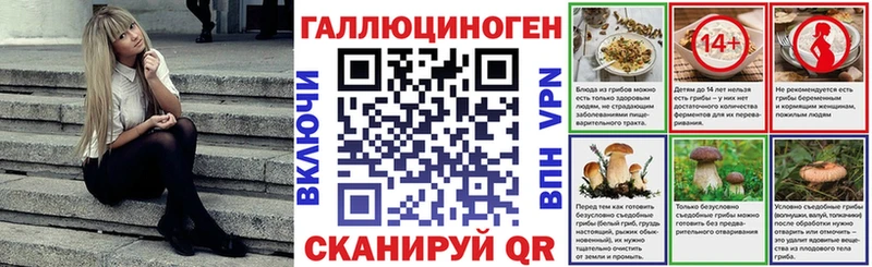 Псилоцибиновые грибы Cubensis  Алзамай 